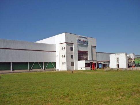 photodune-358775-team-xs